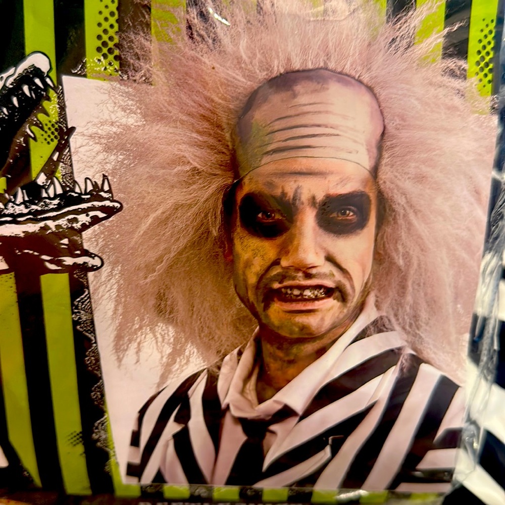 Beetlejuice costume!